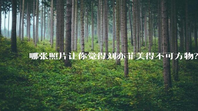 哪张照片让你觉得刘亦菲美得不可方物?