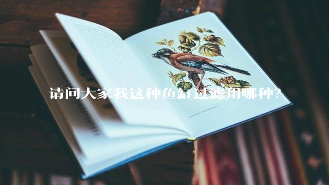 请问大家我这种鱼缸过滤用哪种?