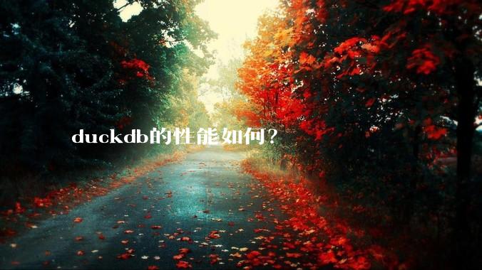 duckdb的性能如何?