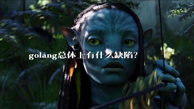 golang总体上有什么缺陷?
