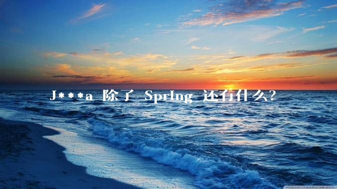 J***a 除了 Spring 还有什么?