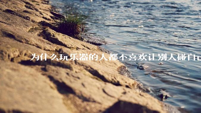 为什么玩乐器的人都不喜欢让别人碰自己的乐器?