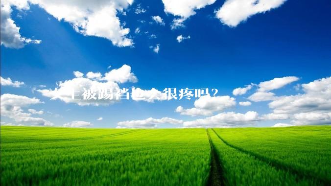 女生被踢裆也会很疼吗?