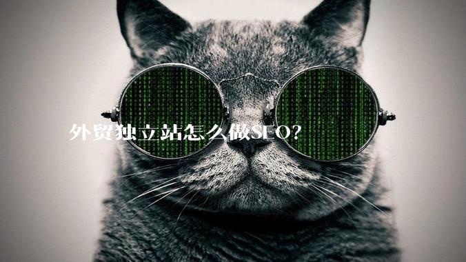 外贸独立站怎么做SEO?