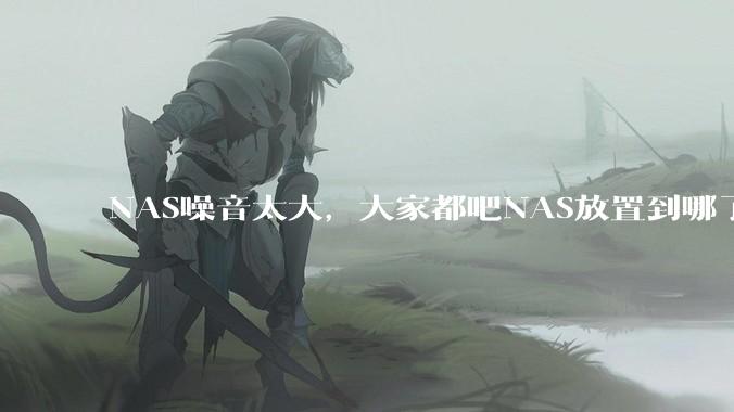NAS噪音太大,大家都吧NAS放置到哪了?