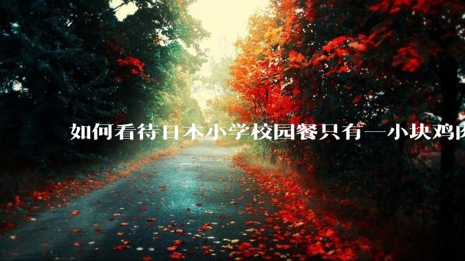 如何看待日本小学校园餐只有一小块鸡肉?
