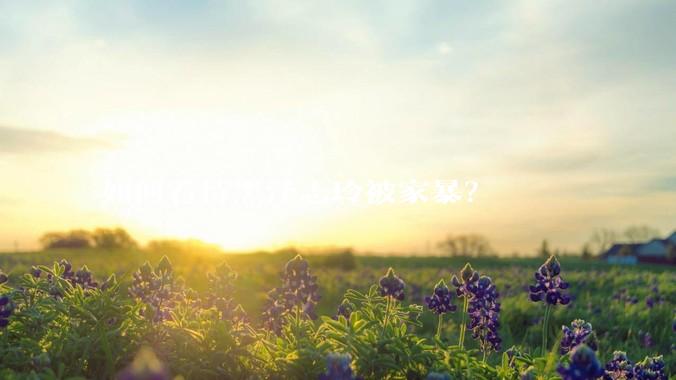 如何看待黑泽志玲被家暴?