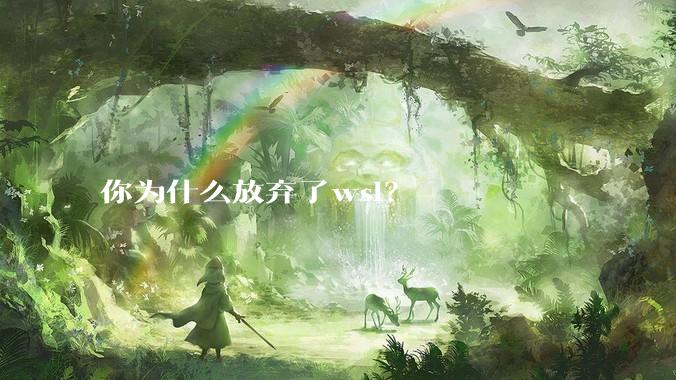 你为什么放弃了wsl?