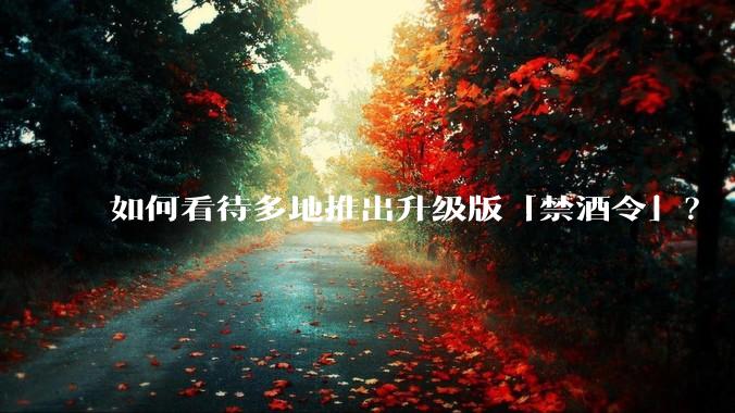 如何看待多地推出升级版「禁酒令」?