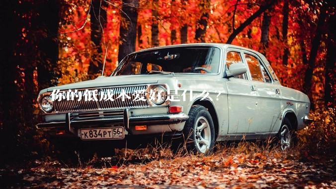 你的低成本爱好是什么?
